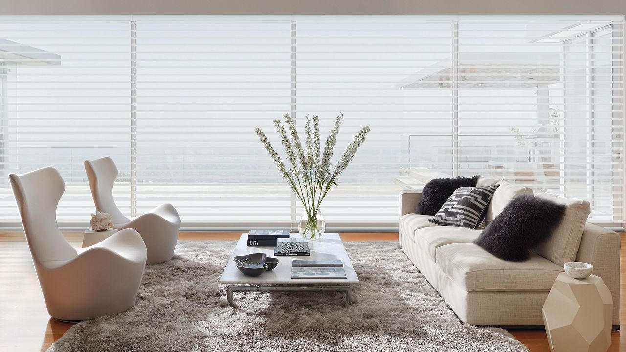 Hunter Douglas Silhouette sheer shadings in a living room
